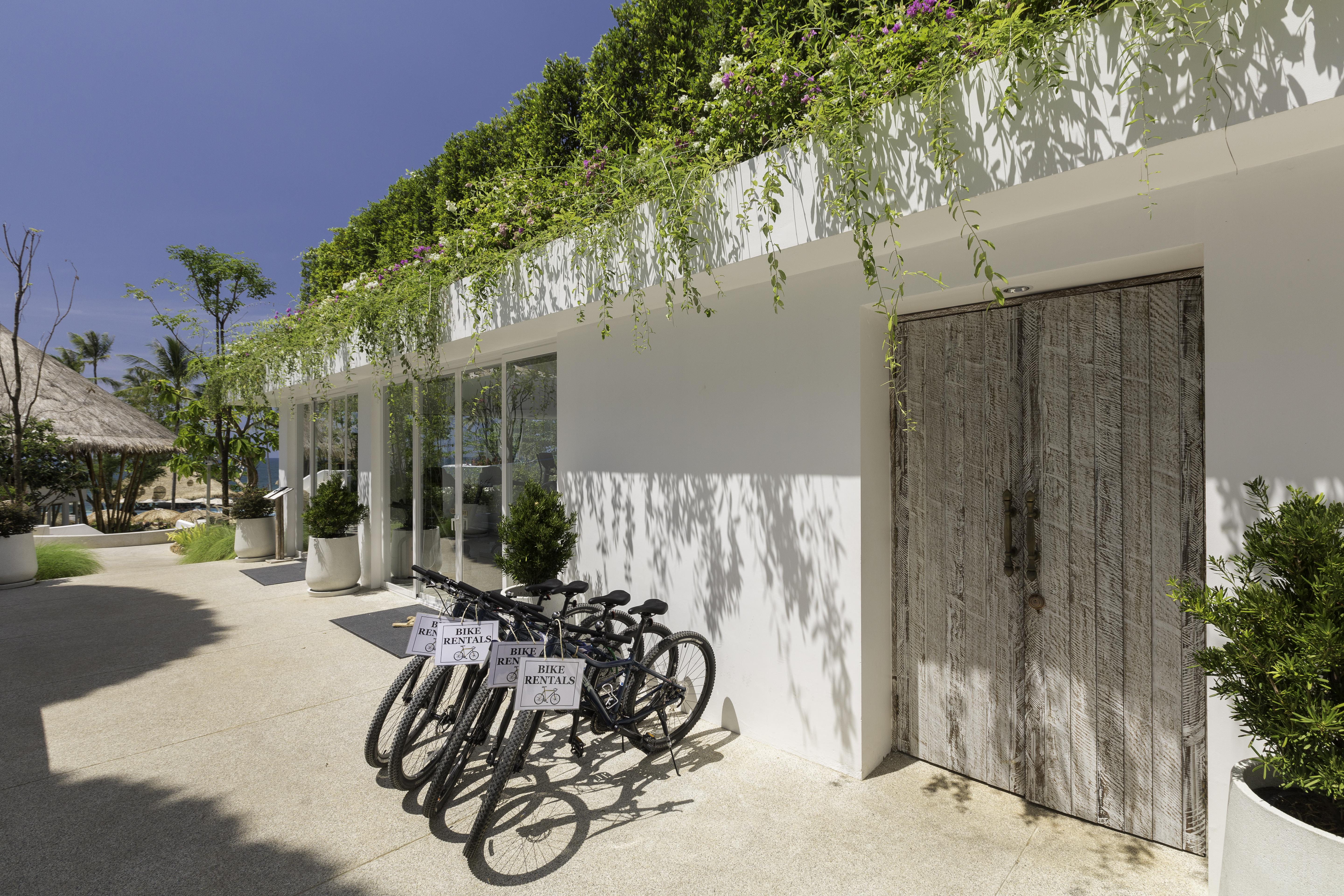 منتجع وسبا عدن بيتش خاو لاك المظهر الخارجي الصورة Bicycle rental at the resort